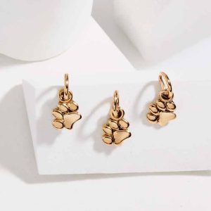 Bronze Tiny Puffy Paw Charm - VNA6181